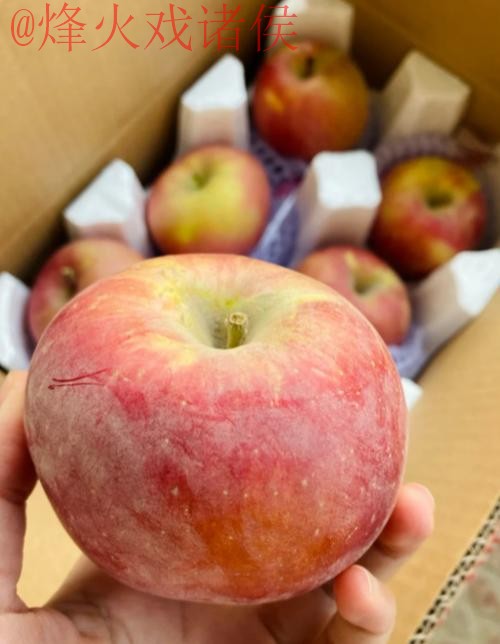 世界杯买球苹果